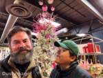 disneyland beauty dusty and suzanne knotts pink tree MiceChat