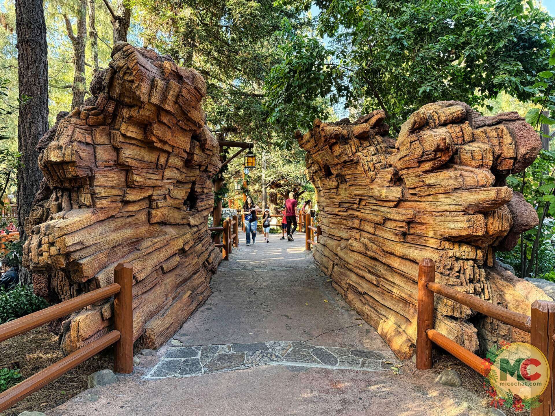 , DISNEYLAND UPDATE: Heartbreak, Hope & A New Chapter