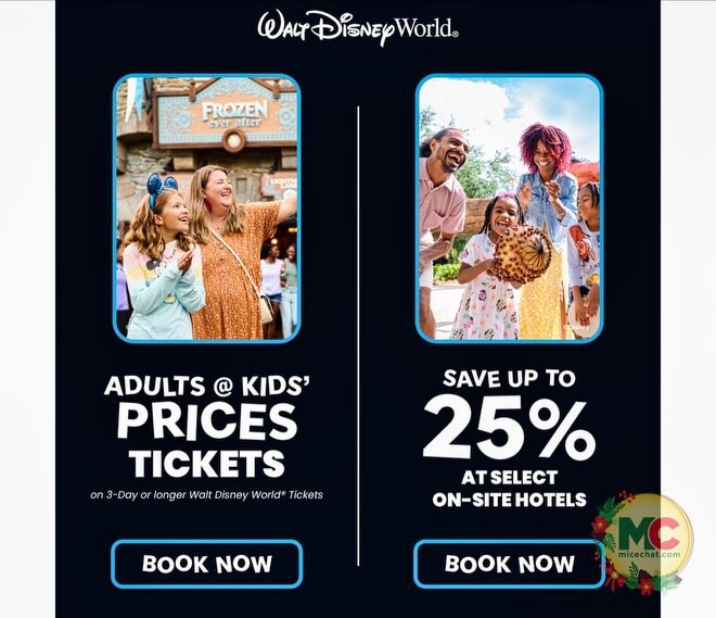 WDW 2025, WDW NEWS: What’s New for 2025 – Spectaculars, Attractions & Villains!