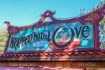 California Adventure Lunar New Year Food wrapped with love sign