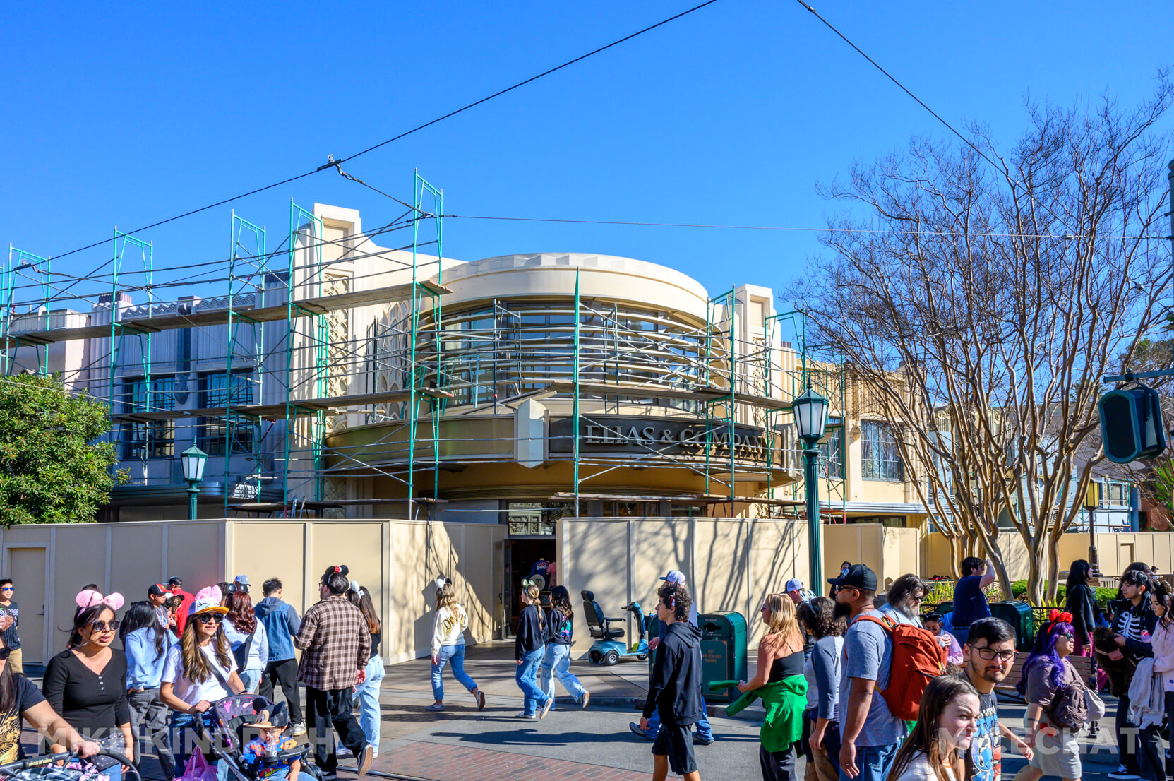 , DISNEYLAND UPDATE: Heartbreak, Hope & A New Chapter