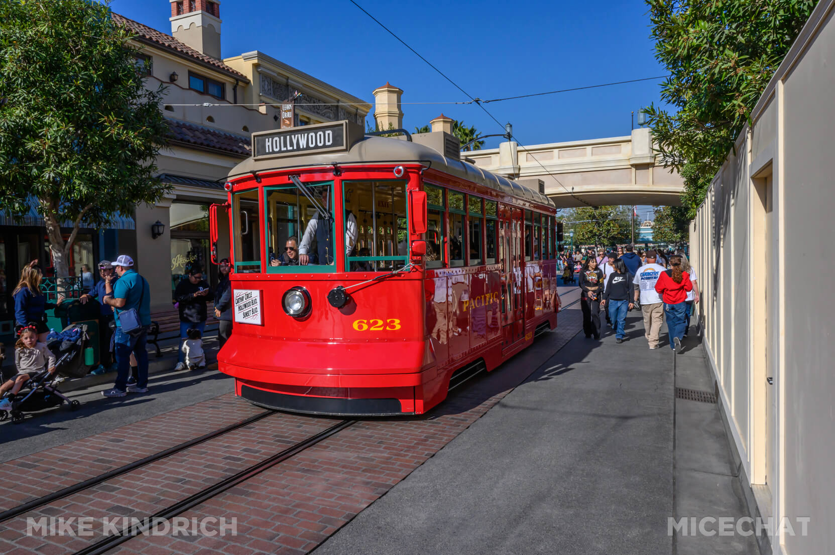 , DISNEYLAND UPDATE: Heartbreak, Hope & A New Chapter