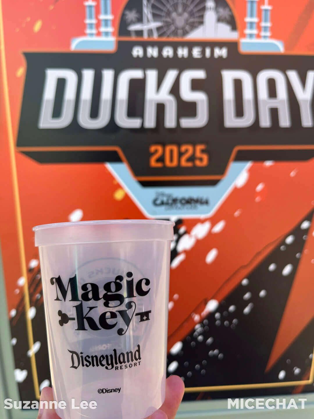 , Disneyland Update: Takeovers, Makeovers & Overhauls!