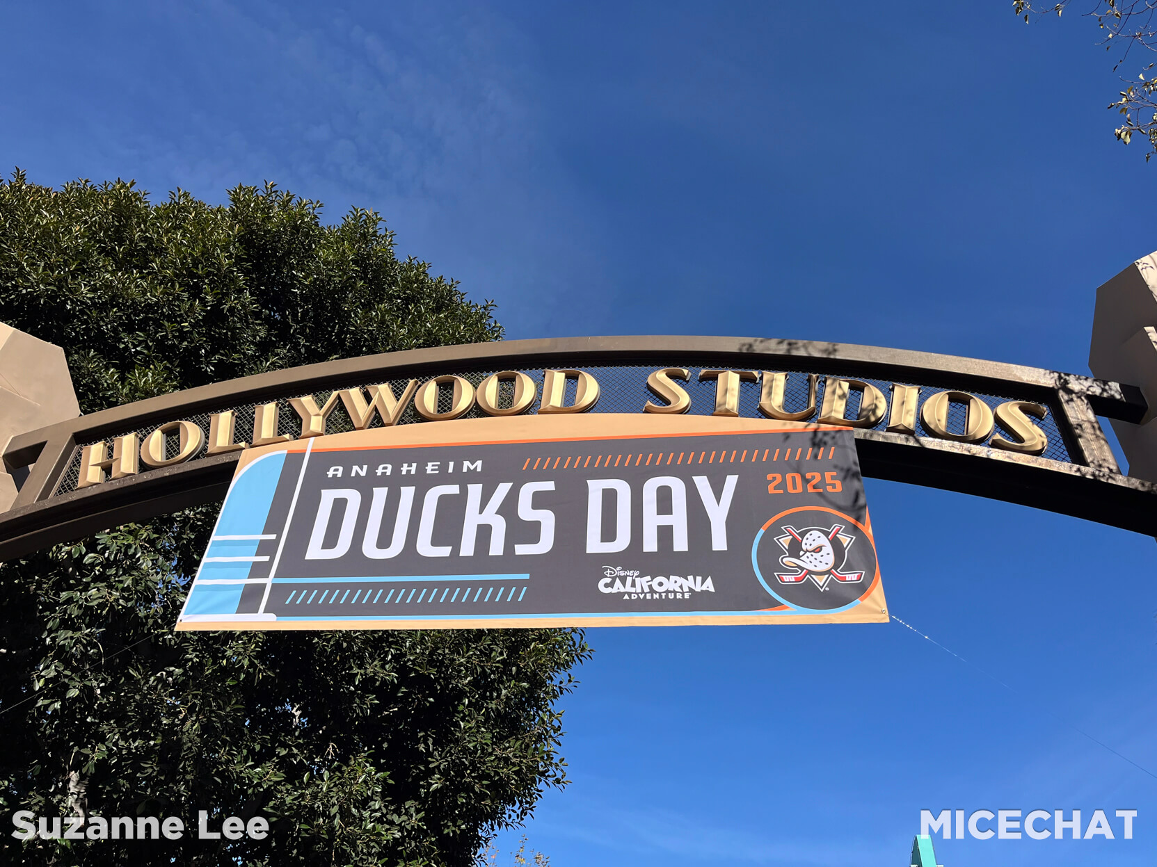 , Disneyland Update: Takeovers, Makeovers & Overhauls!