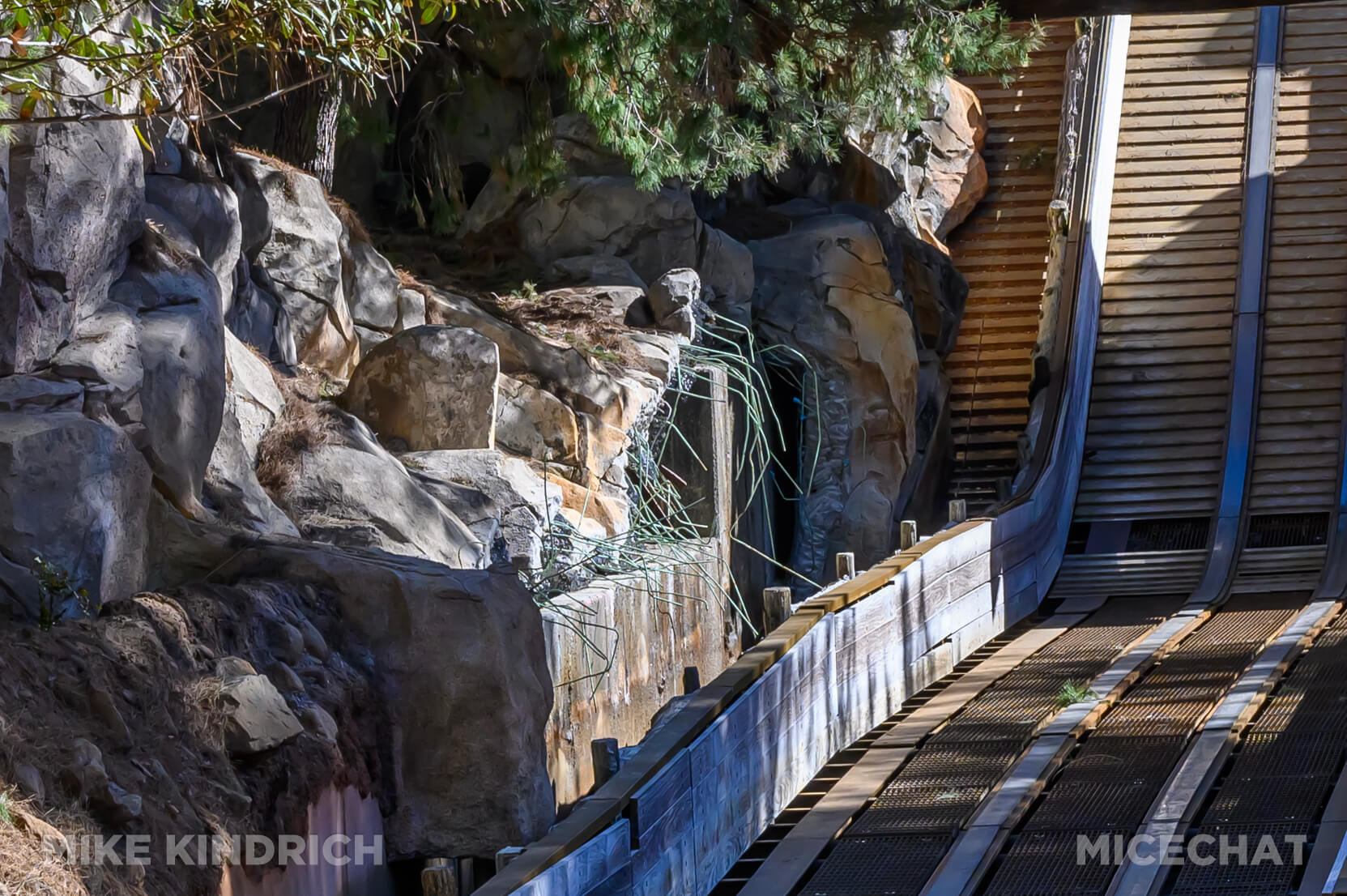 , Disneyland Update: Takeovers, Makeovers & Overhauls!