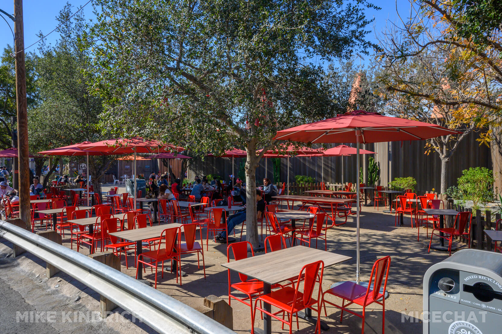 , DISNEYLAND UPDATE: Heartbreak, Hope & A New Chapter