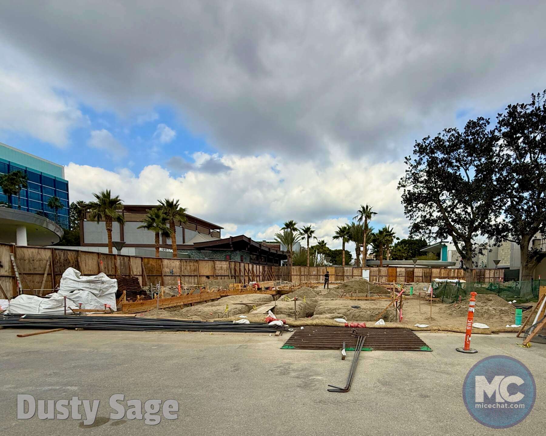 , DISNEYLAND UPDATE: I Do or I Don’t? Lunar Fun & Building the Future!
