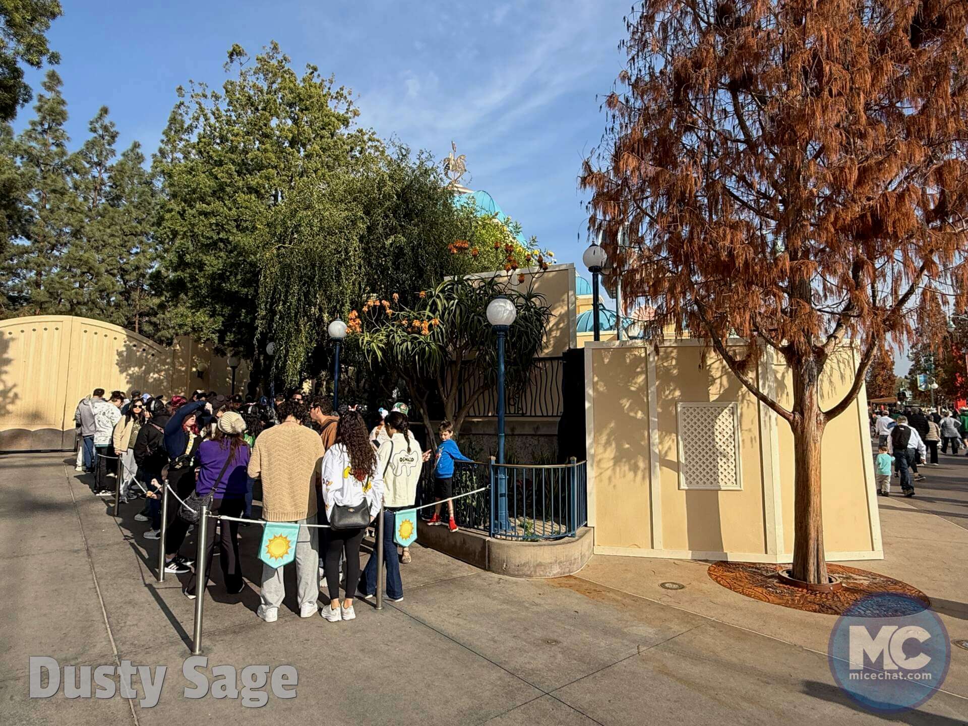 , DISNEYLAND UPDATE: Heartbreak, Hope & A New Chapter
