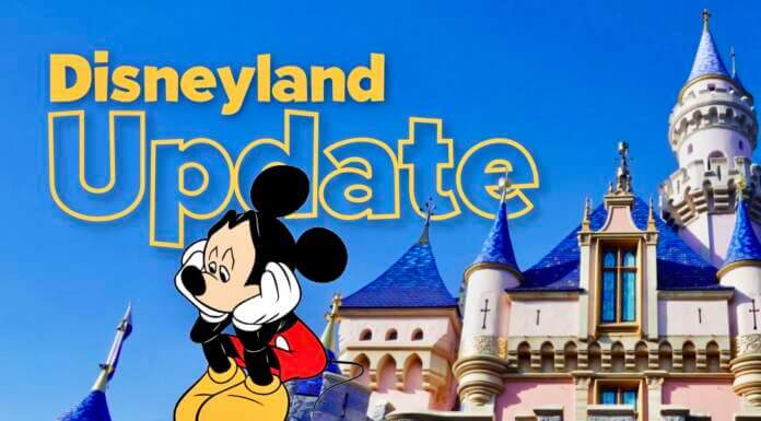 DISNEYLAND UPDATE: Heartbreak, Hope & A New Chapter