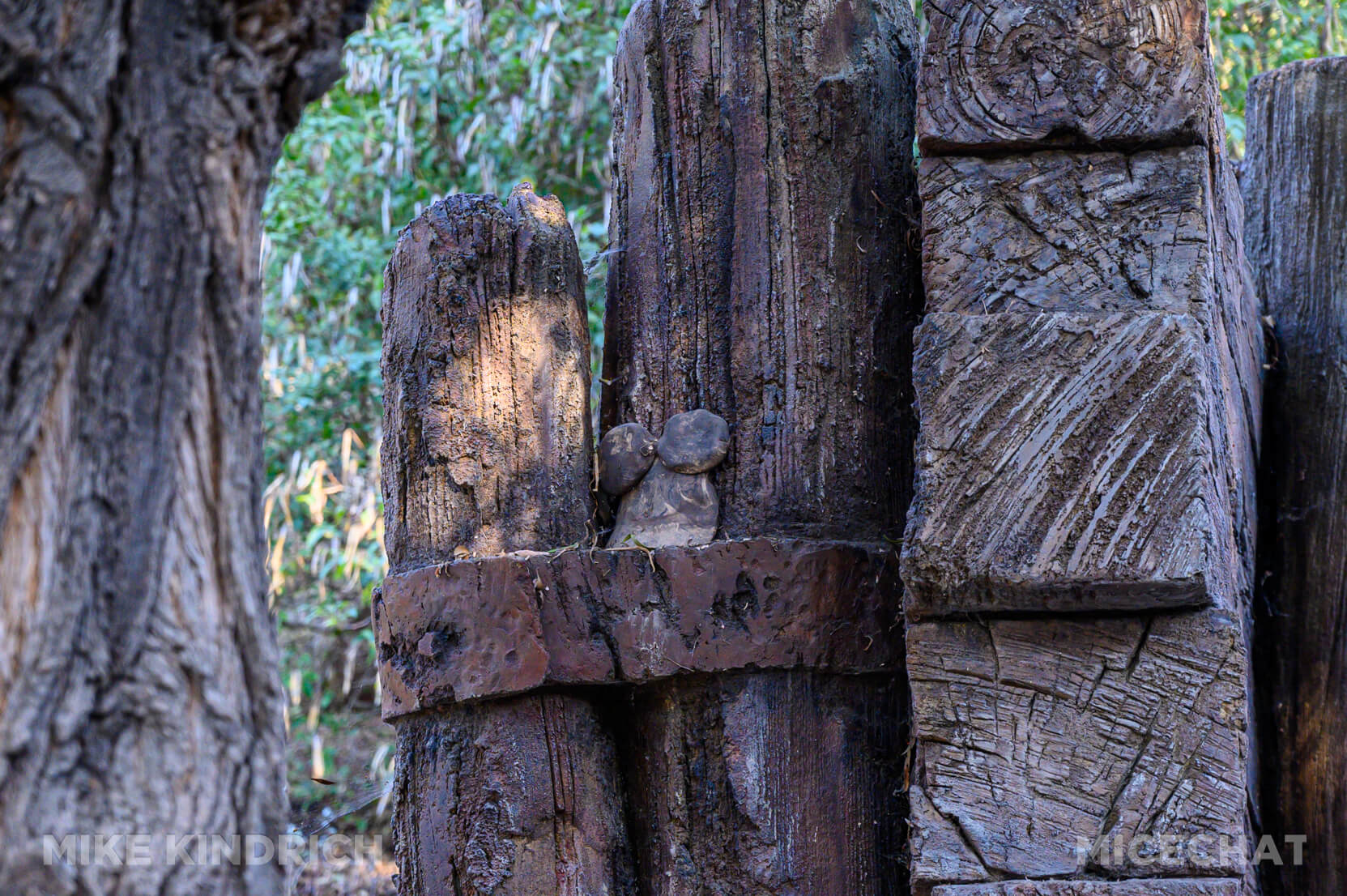 , DISNEYLAND UPDATE: Heartbreak, Hope & A New Chapter