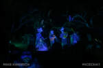 Disneyland_Haunted Mansion_POV_Graveyard_ Ghost Flying in Background
