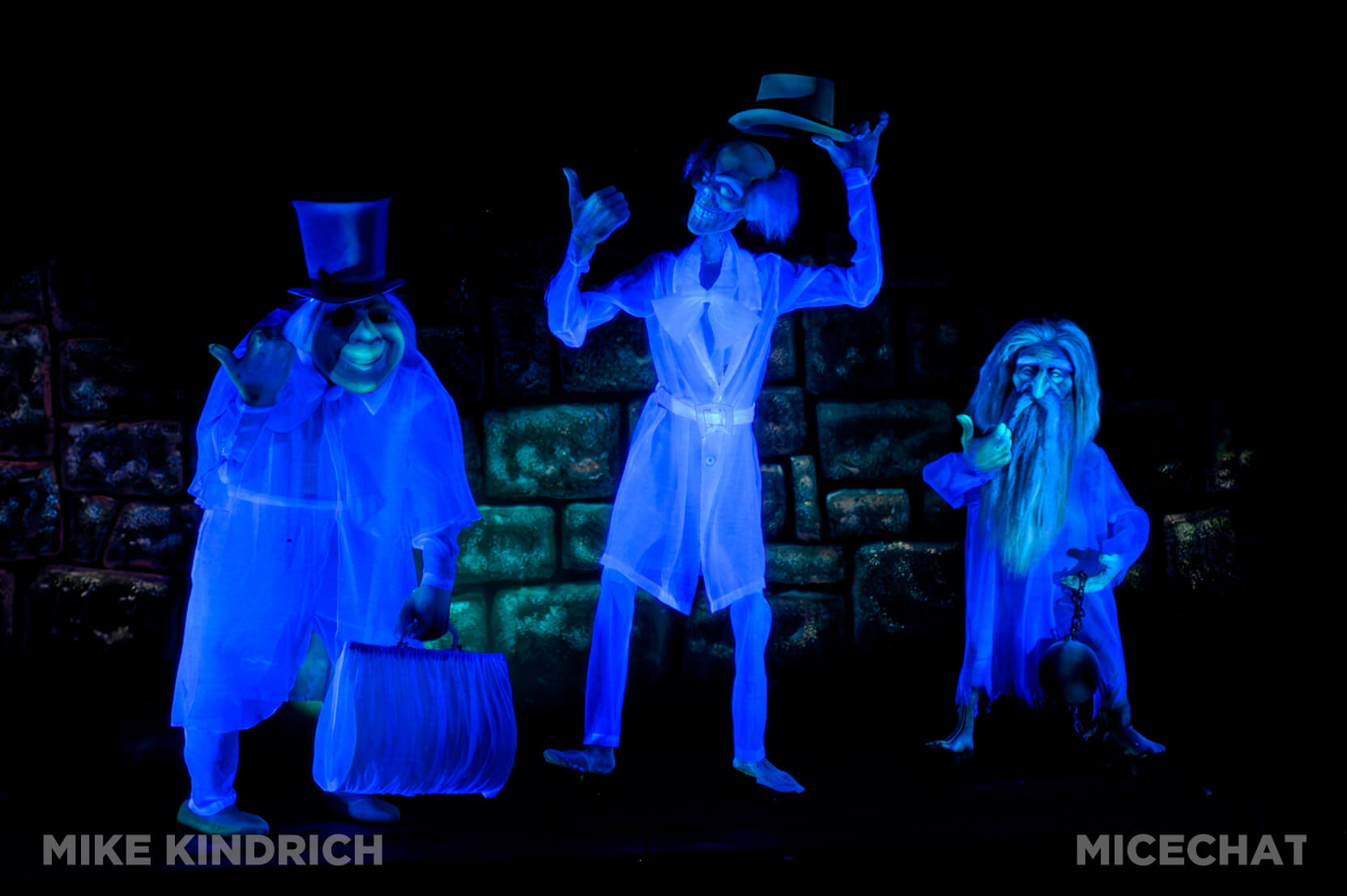 Disneyland Guided tours, Complete Guide to Disneyland Guided Tours