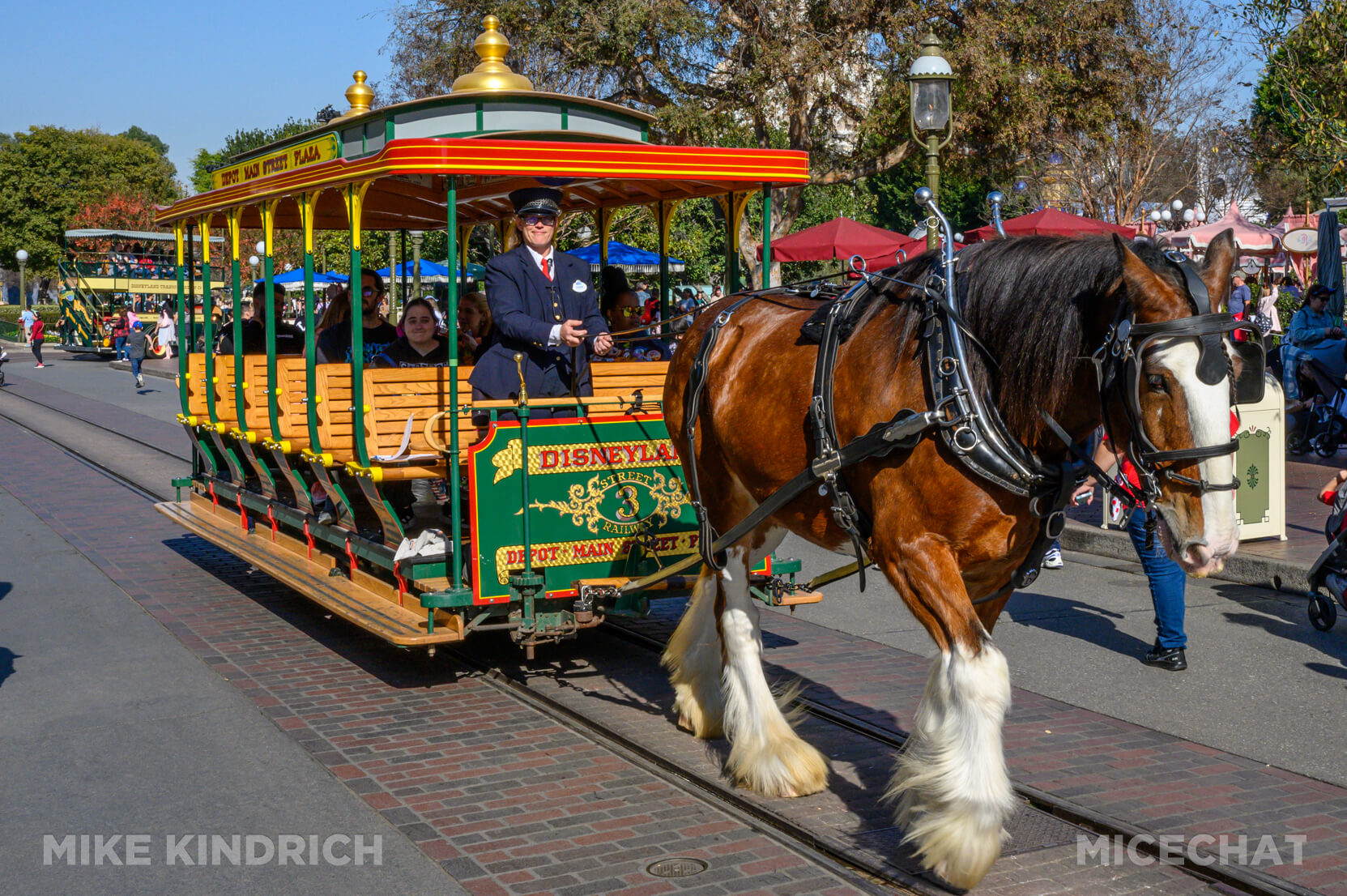 , DISNEYLAND UPDATE: Heartbreak, Hope & A New Chapter