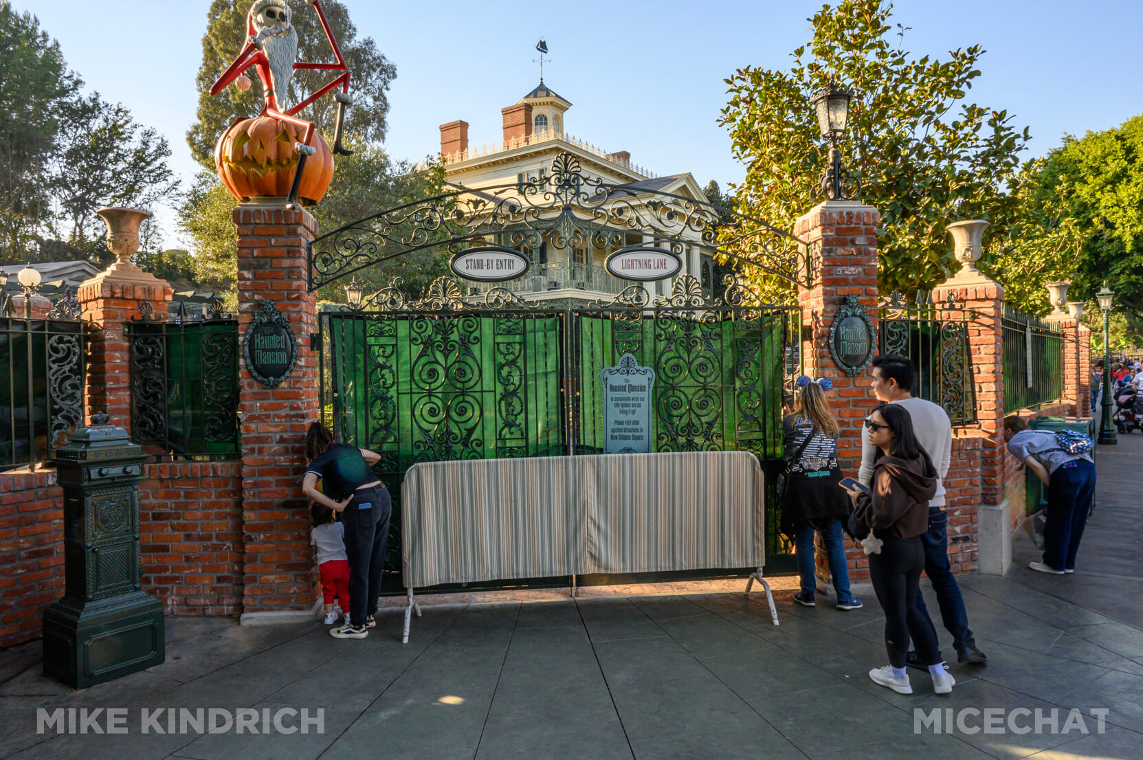 , DISNEYLAND UPDATE: Heartbreak, Hope & A New Chapter