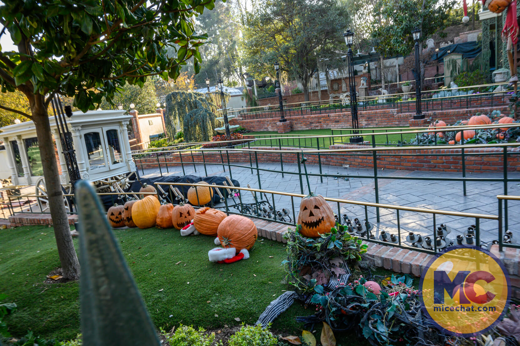 , DISNEYLAND UPDATE: Heartbreak, Hope & A New Chapter