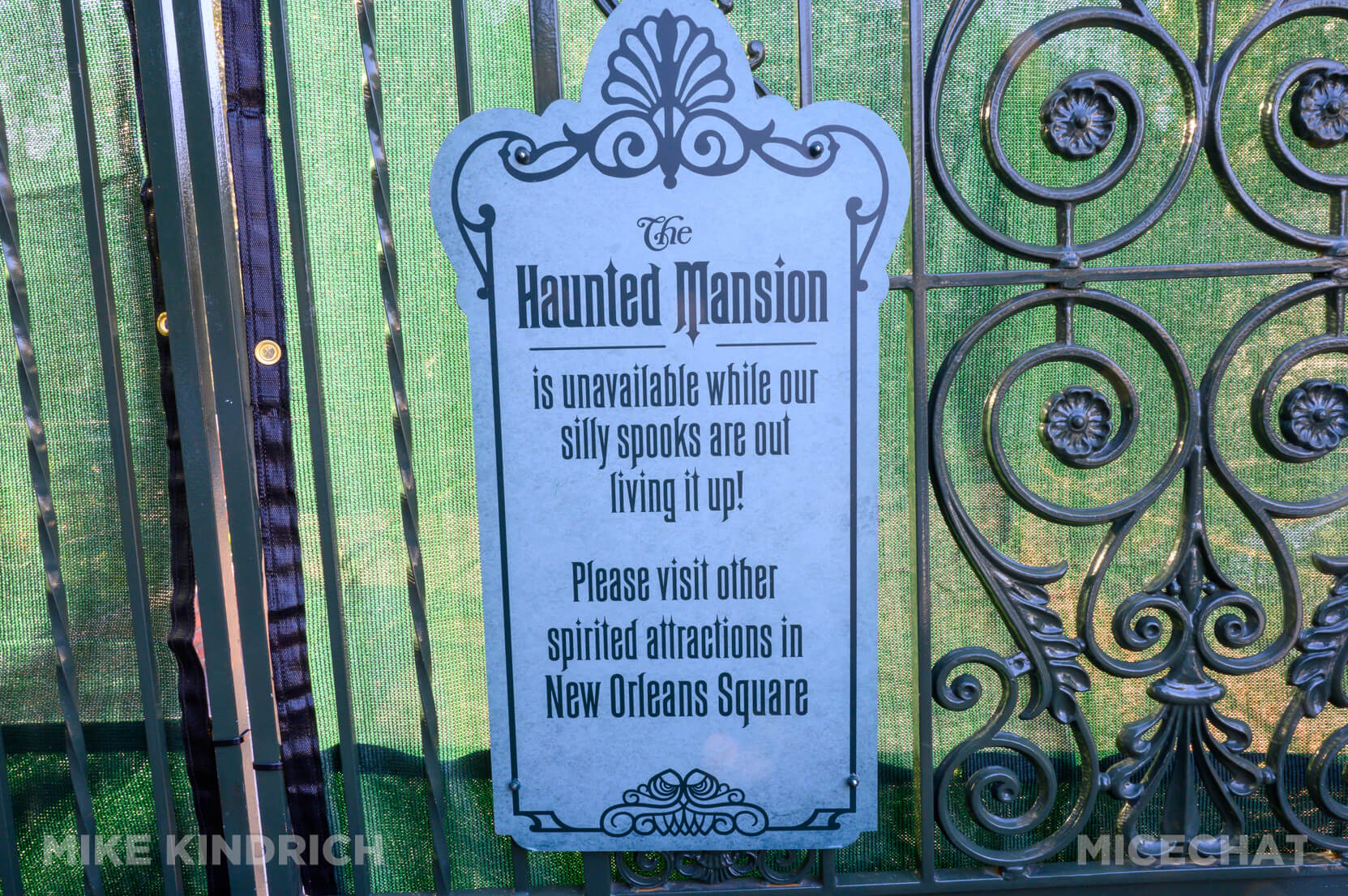 , DISNEYLAND UPDATE: Heartbreak, Hope & A New Chapter