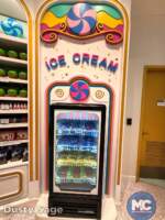 Downtown Disney Wonderful World of Sweets ice cream case