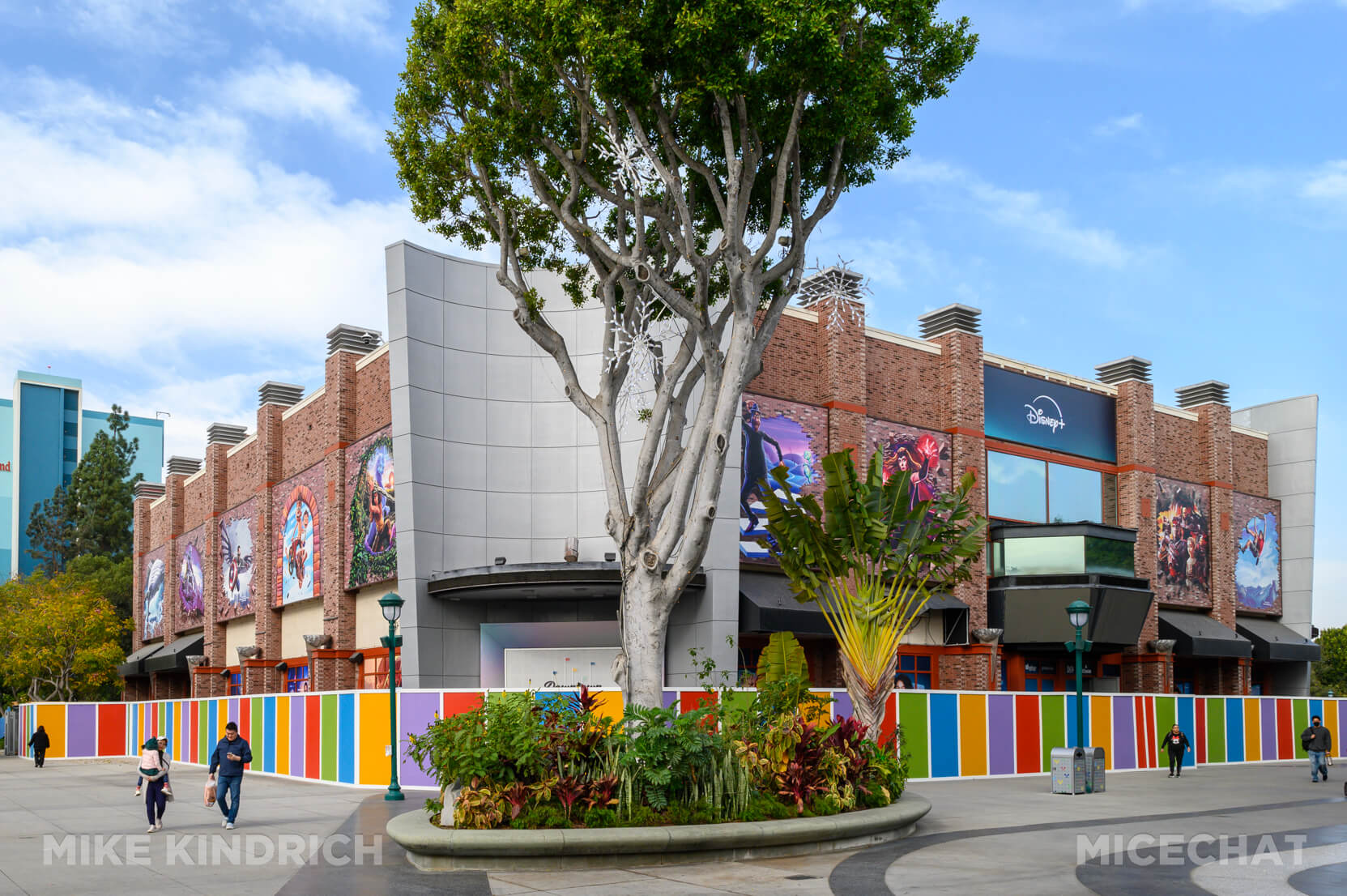 , DISNEYLAND UPDATE: Heartbreak, Hope & A New Chapter