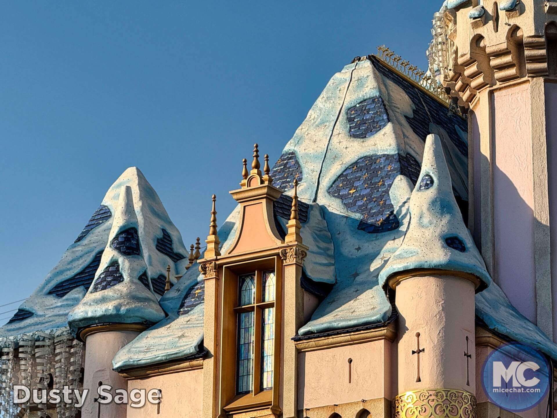 , DISNEYLAND UPDATE: Heartbreak, Hope & A New Chapter