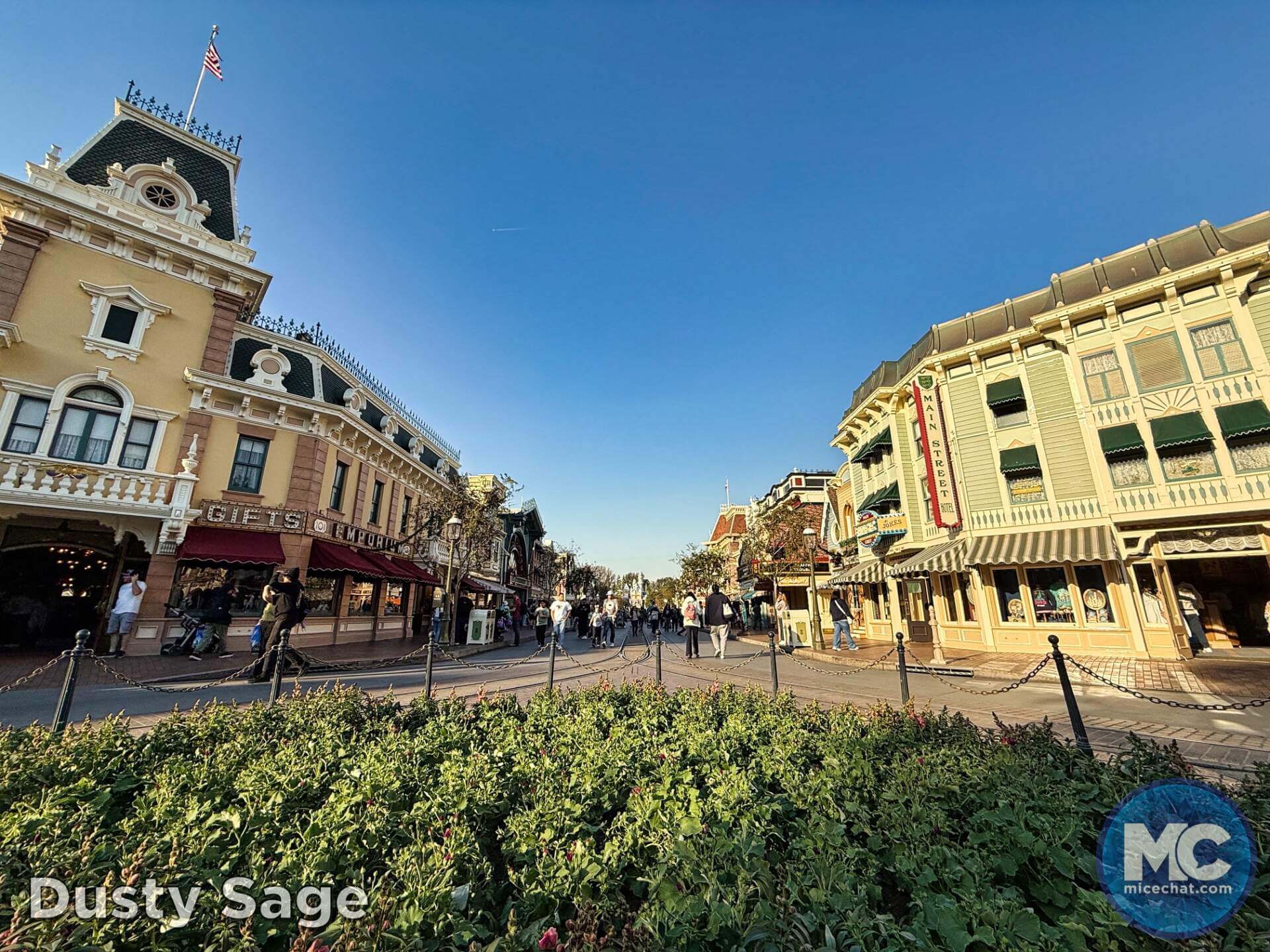 , DISNEYLAND UPDATE: Heartbreak, Hope & A New Chapter