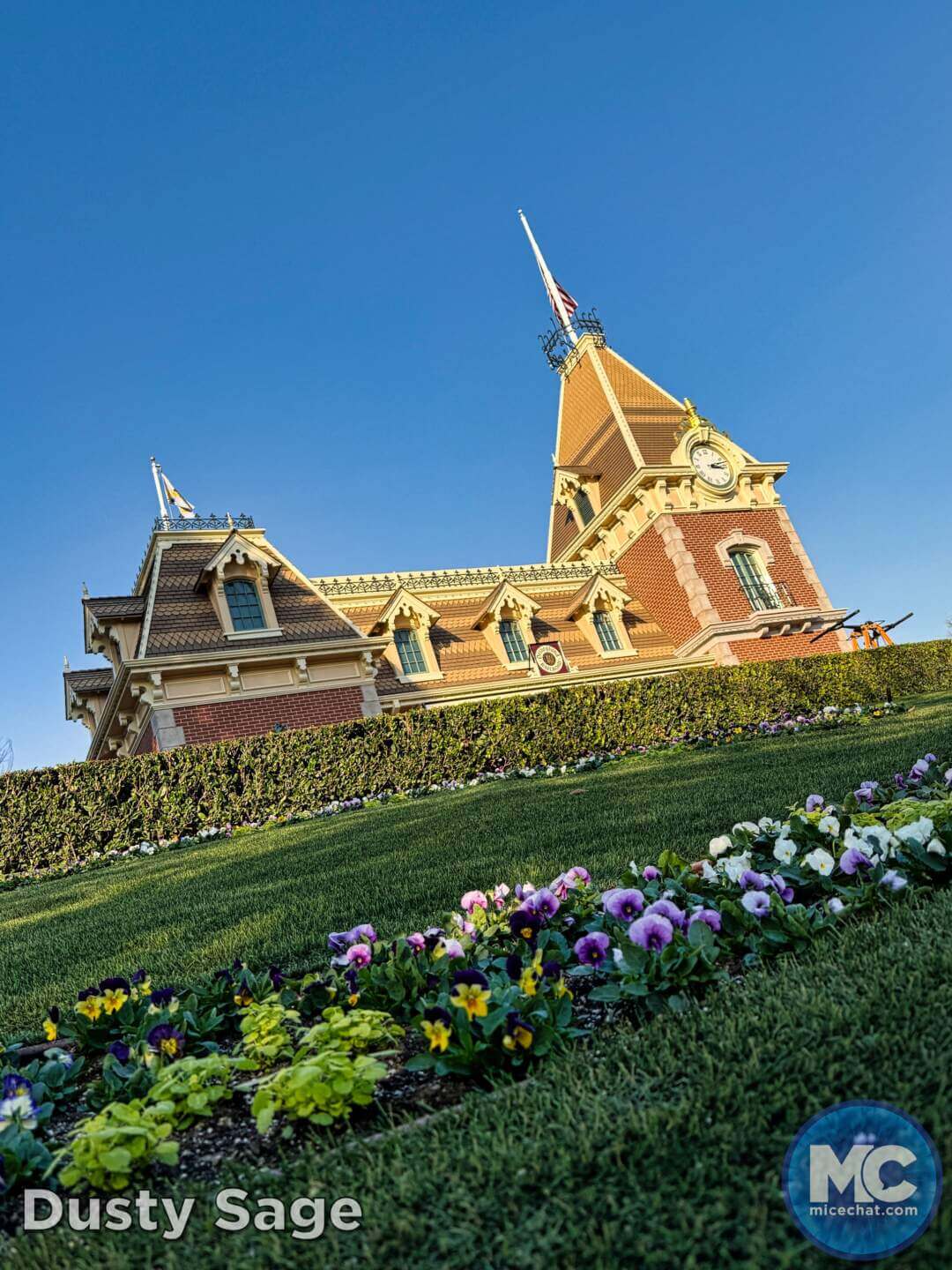 , DISNEYLAND UPDATE: Heartbreak, Hope & A New Chapter