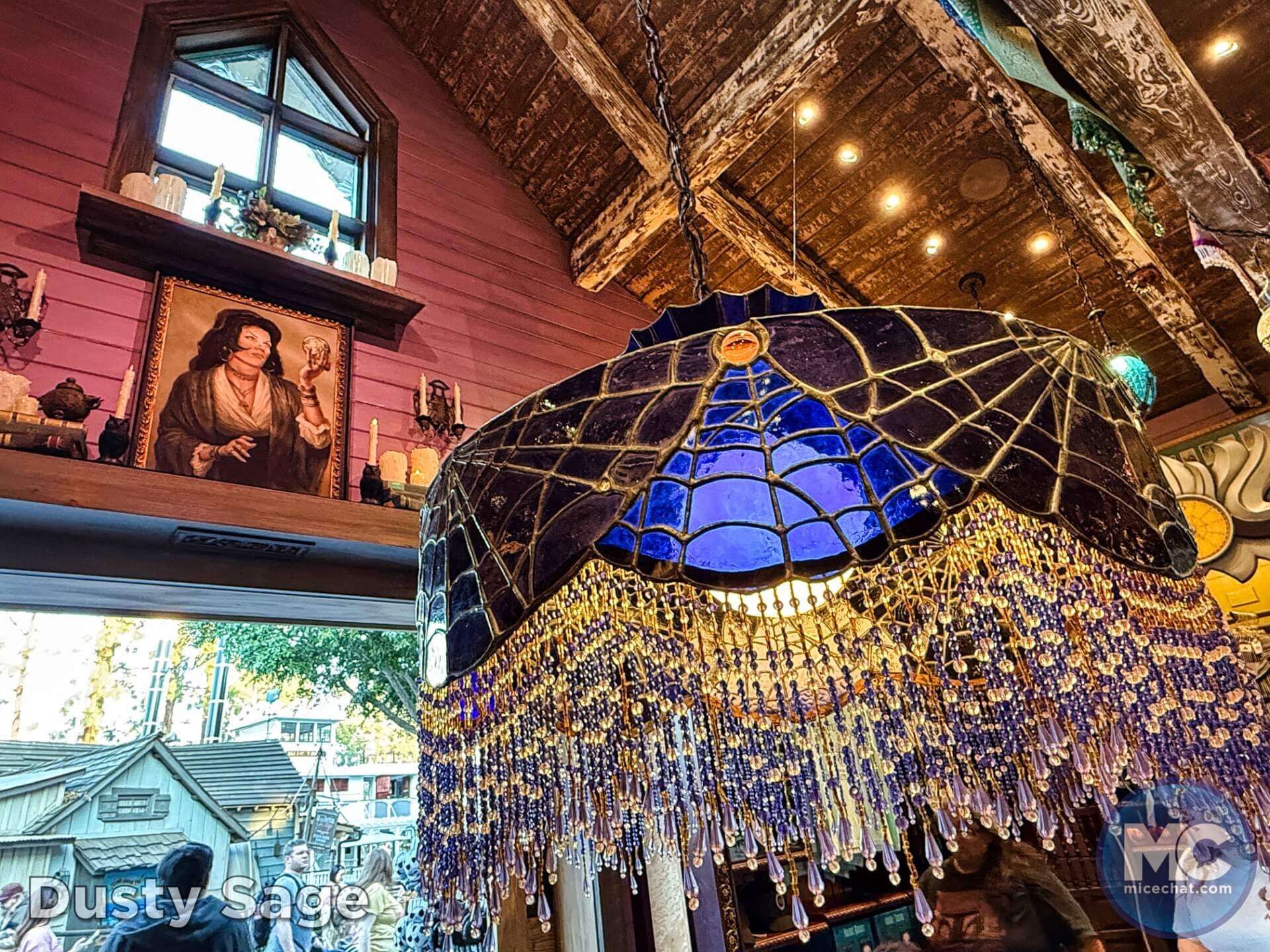 , DISNEYLAND UPDATE: Heartbreak, Hope & A New Chapter