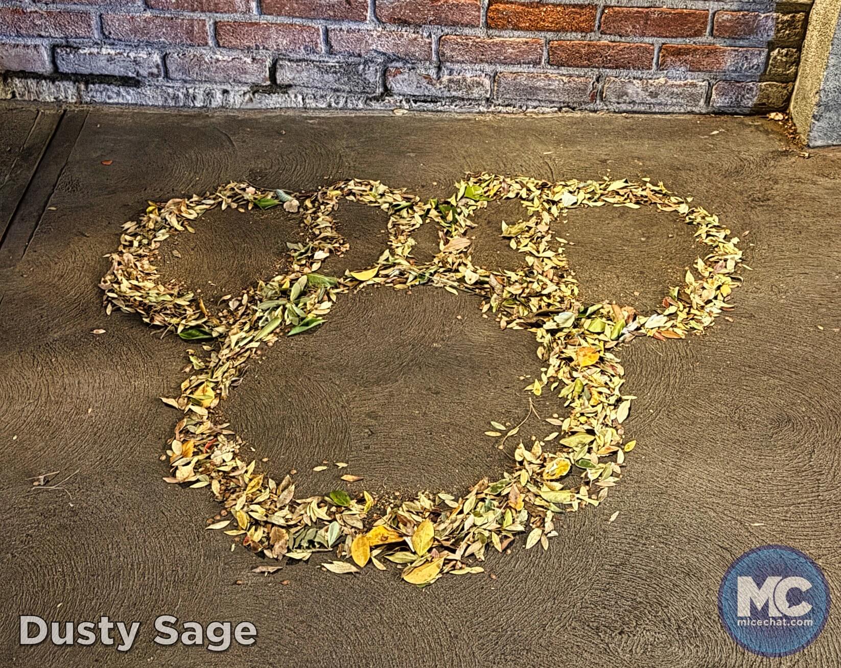 , DISNEYLAND UPDATE: Heartbreak, Hope & A New Chapter