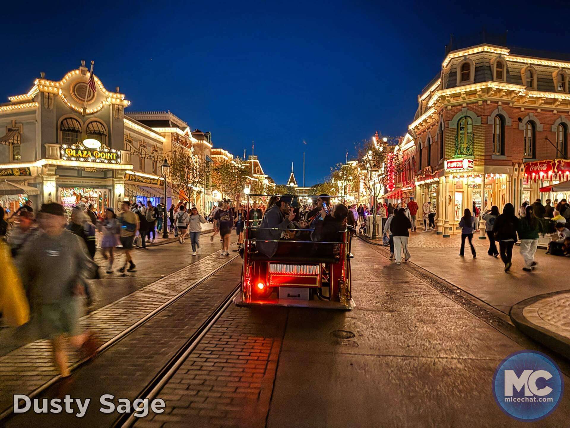 , DISNEYLAND UPDATE: Heartbreak, Hope & A New Chapter