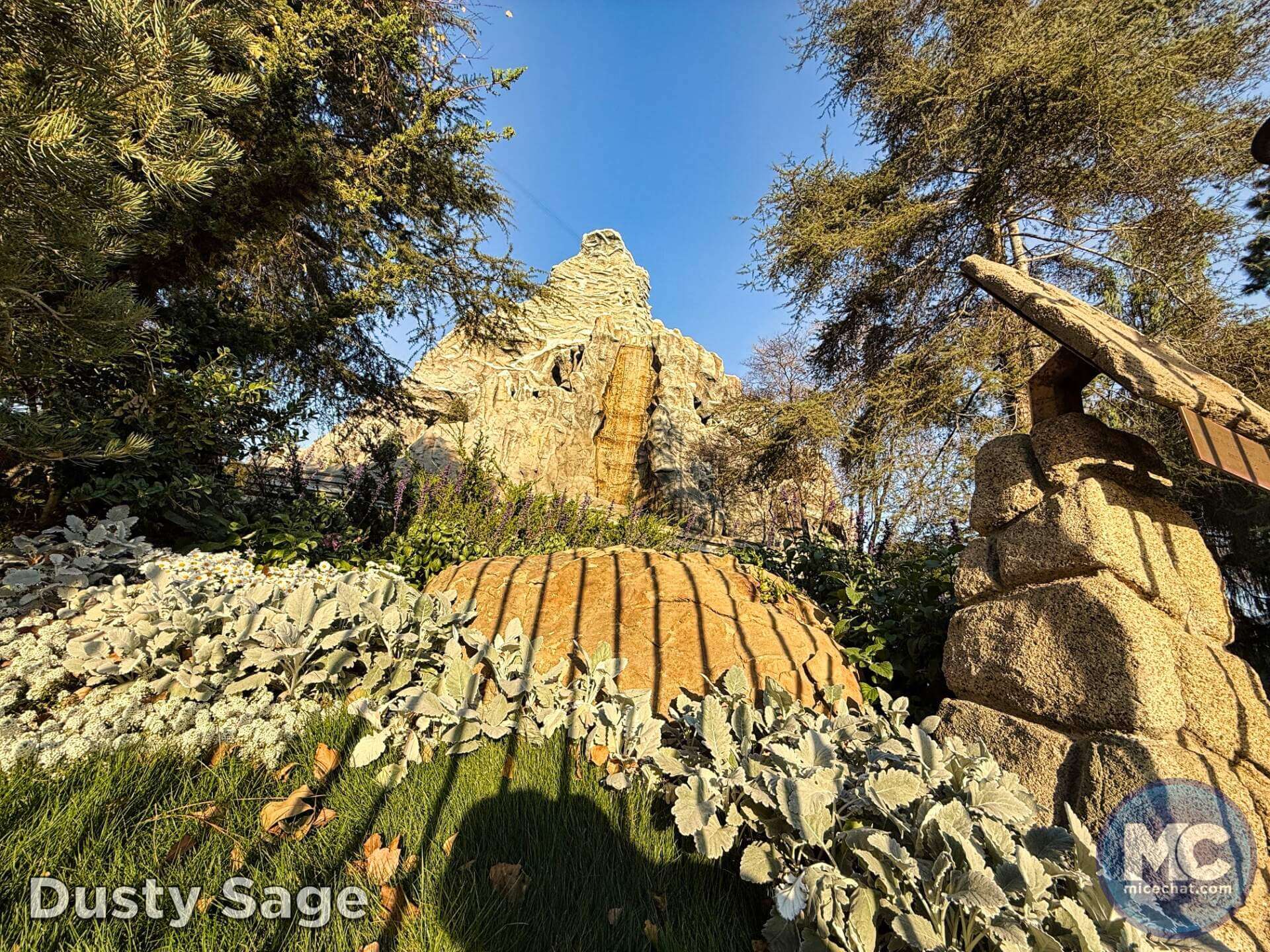 , DISNEYLAND UPDATE: Heartbreak, Hope & A New Chapter