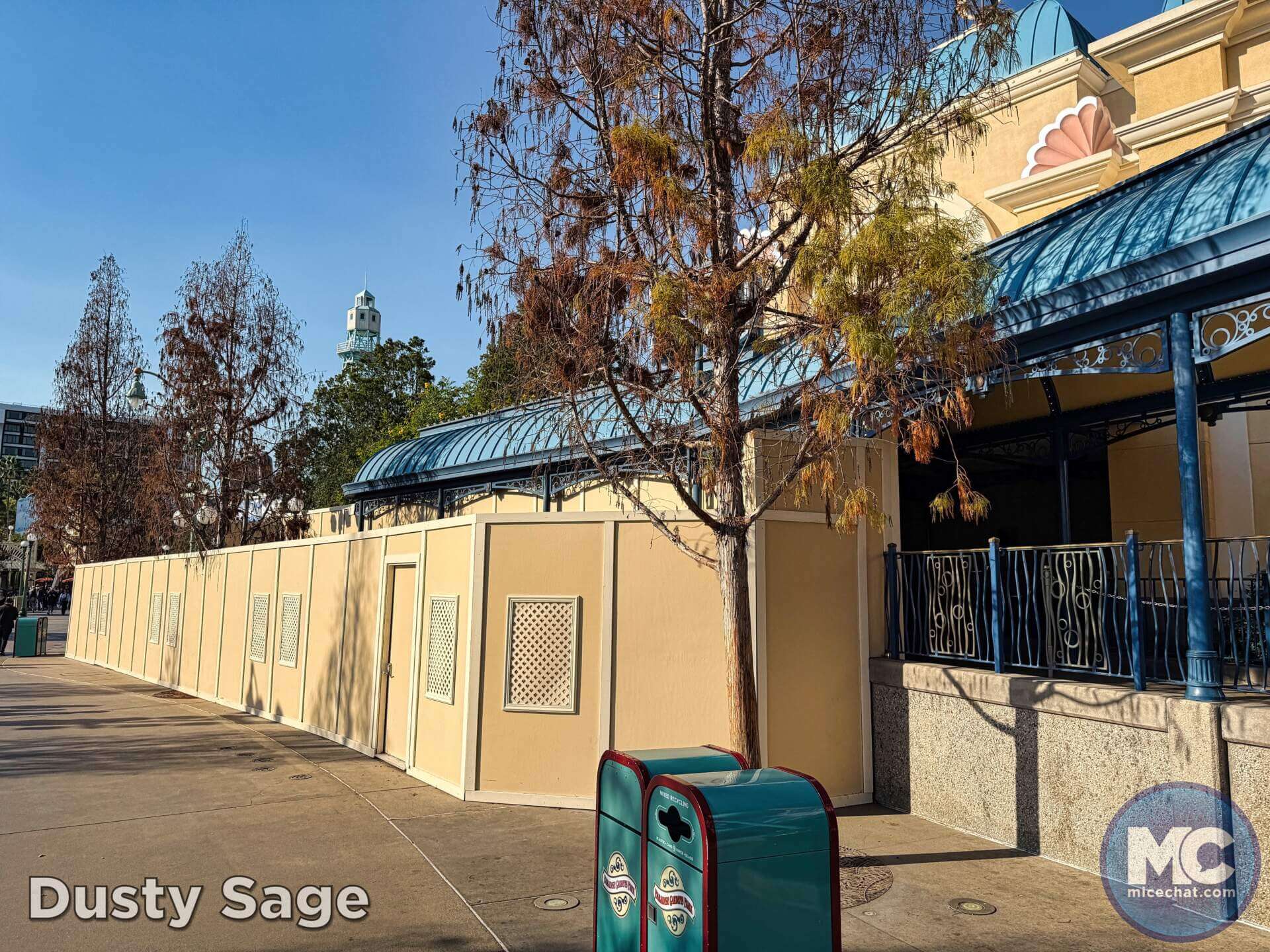 , DISNEYLAND UPDATE: Heartbreak, Hope & A New Chapter
