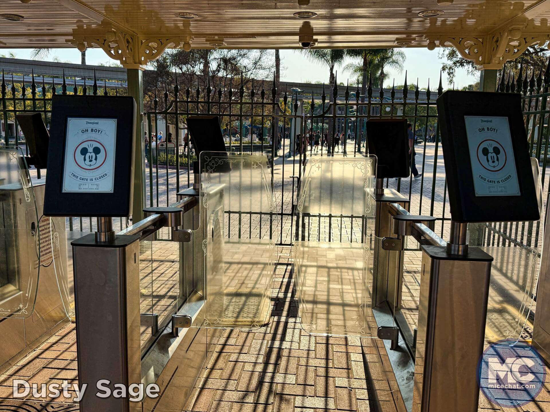 , DISNEYLAND UPDATE: Heartbreak, Hope & A New Chapter