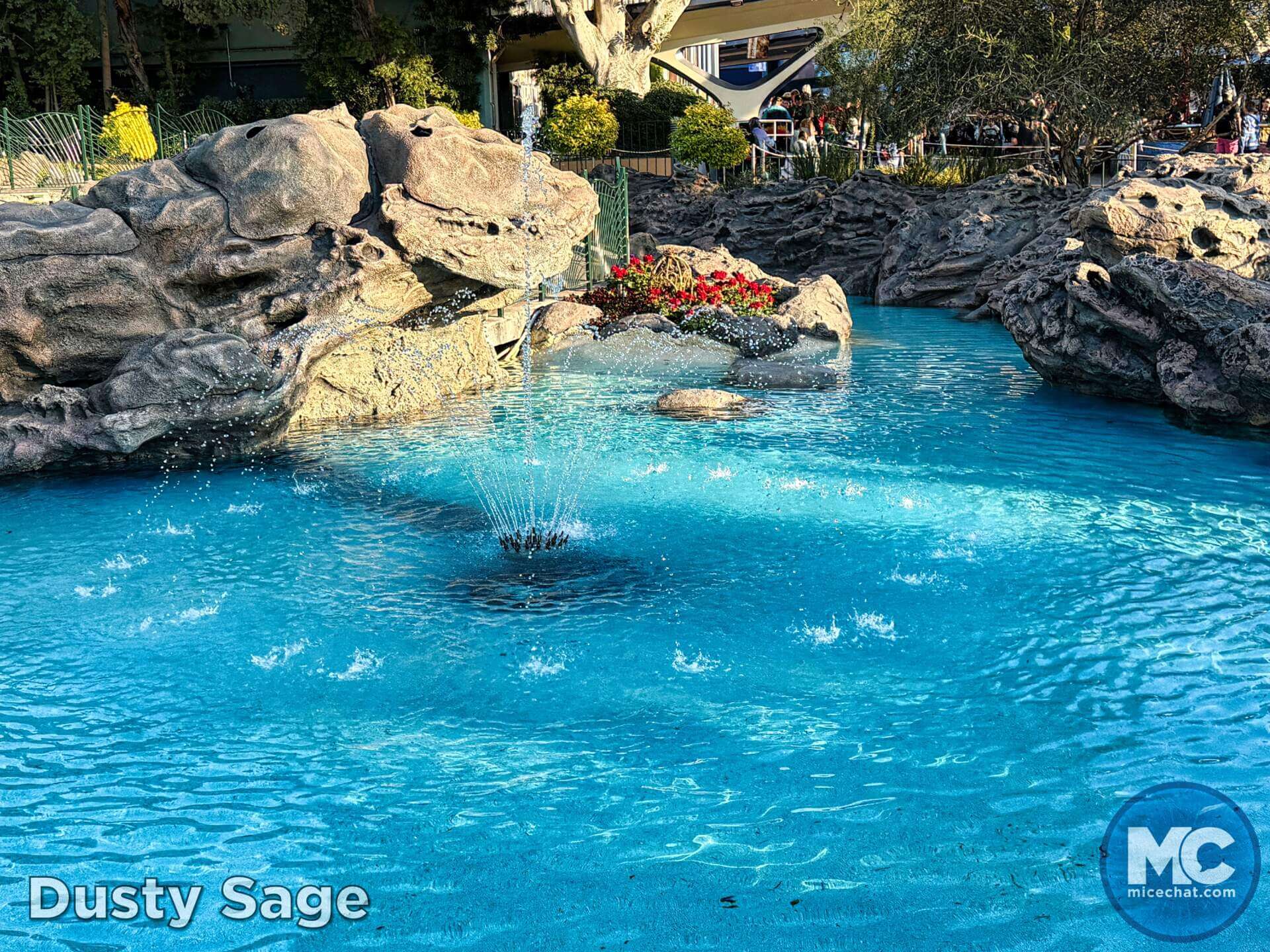 , DISNEYLAND UPDATE: Heartbreak, Hope & A New Chapter
