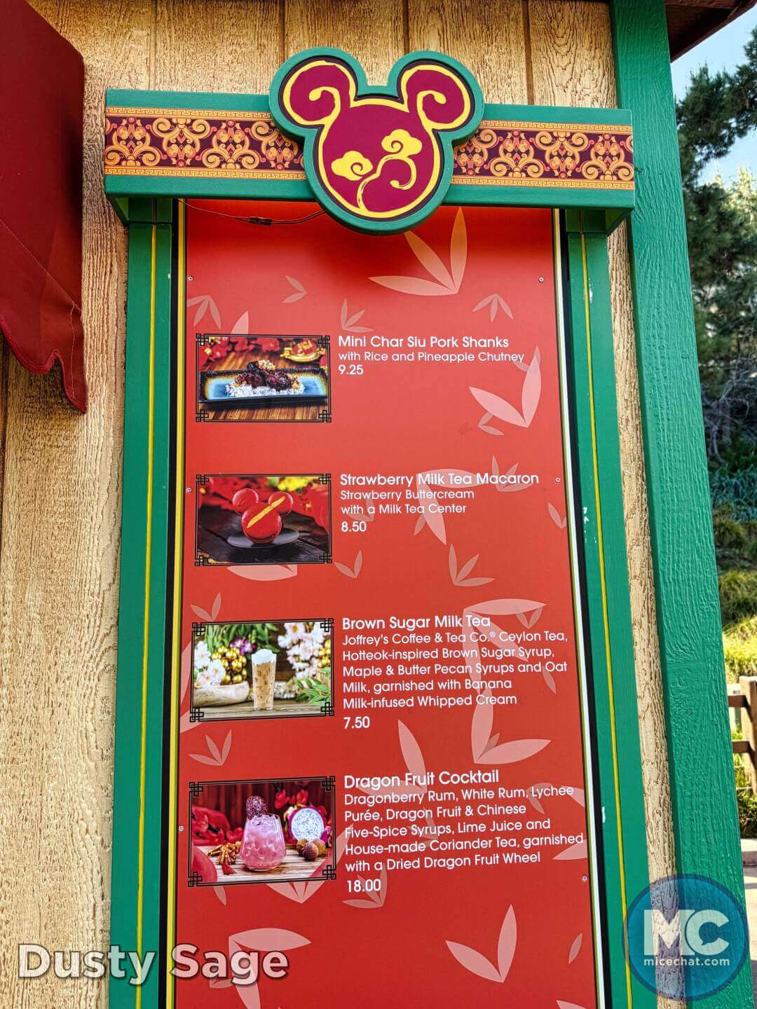 , DISNEYLAND UPDATE: Heartbreak, Hope & A New Chapter