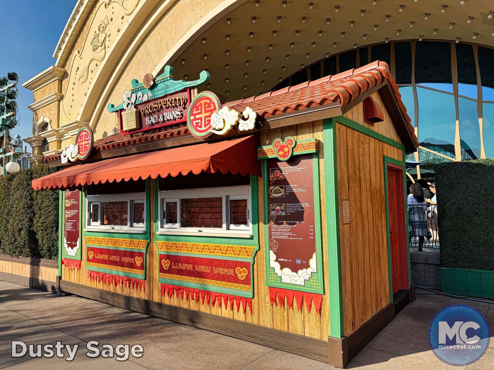 , DISNEYLAND UPDATE: Heartbreak, Hope & A New Chapter