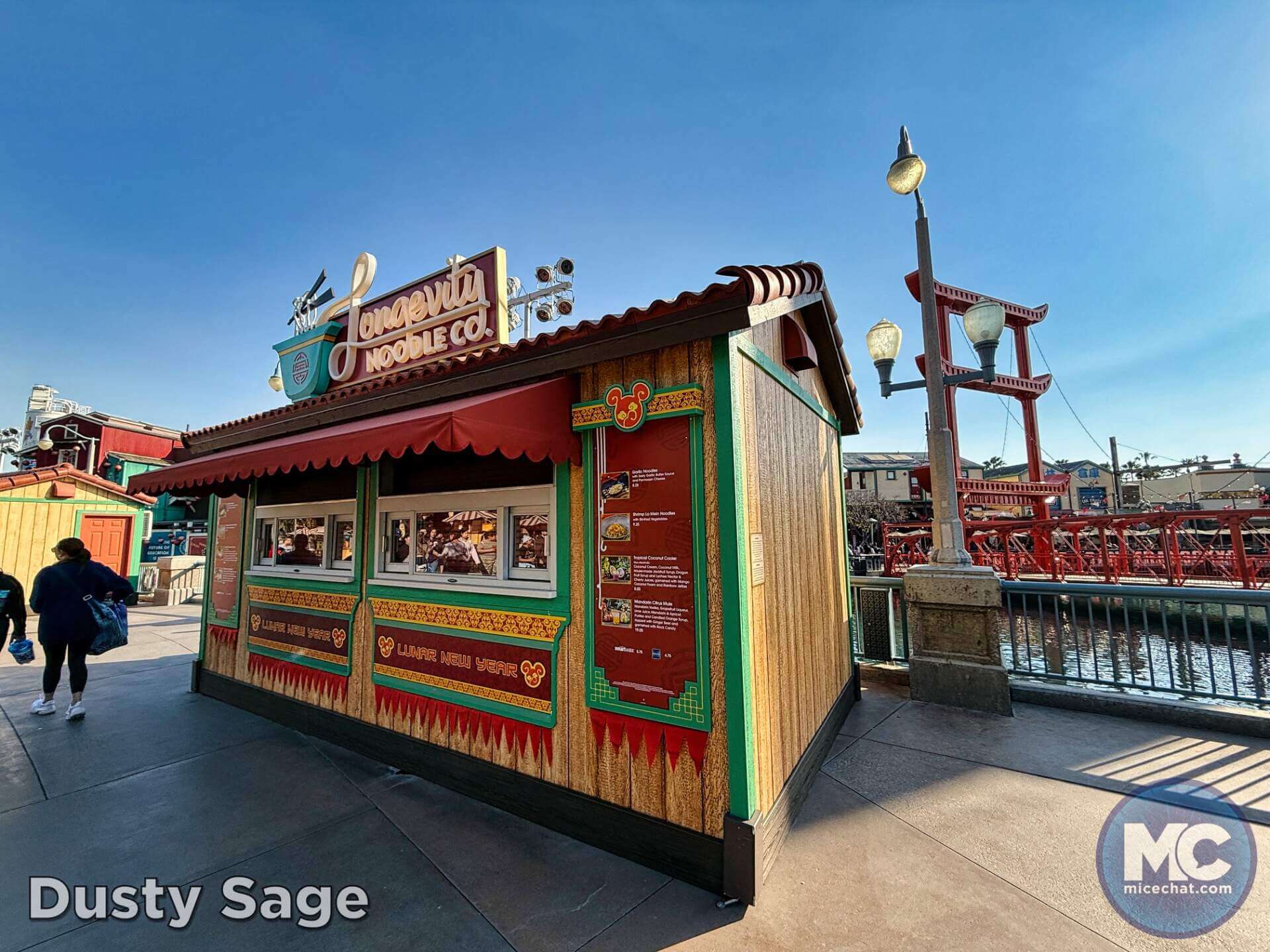 , DISNEYLAND UPDATE: Heartbreak, Hope & A New Chapter