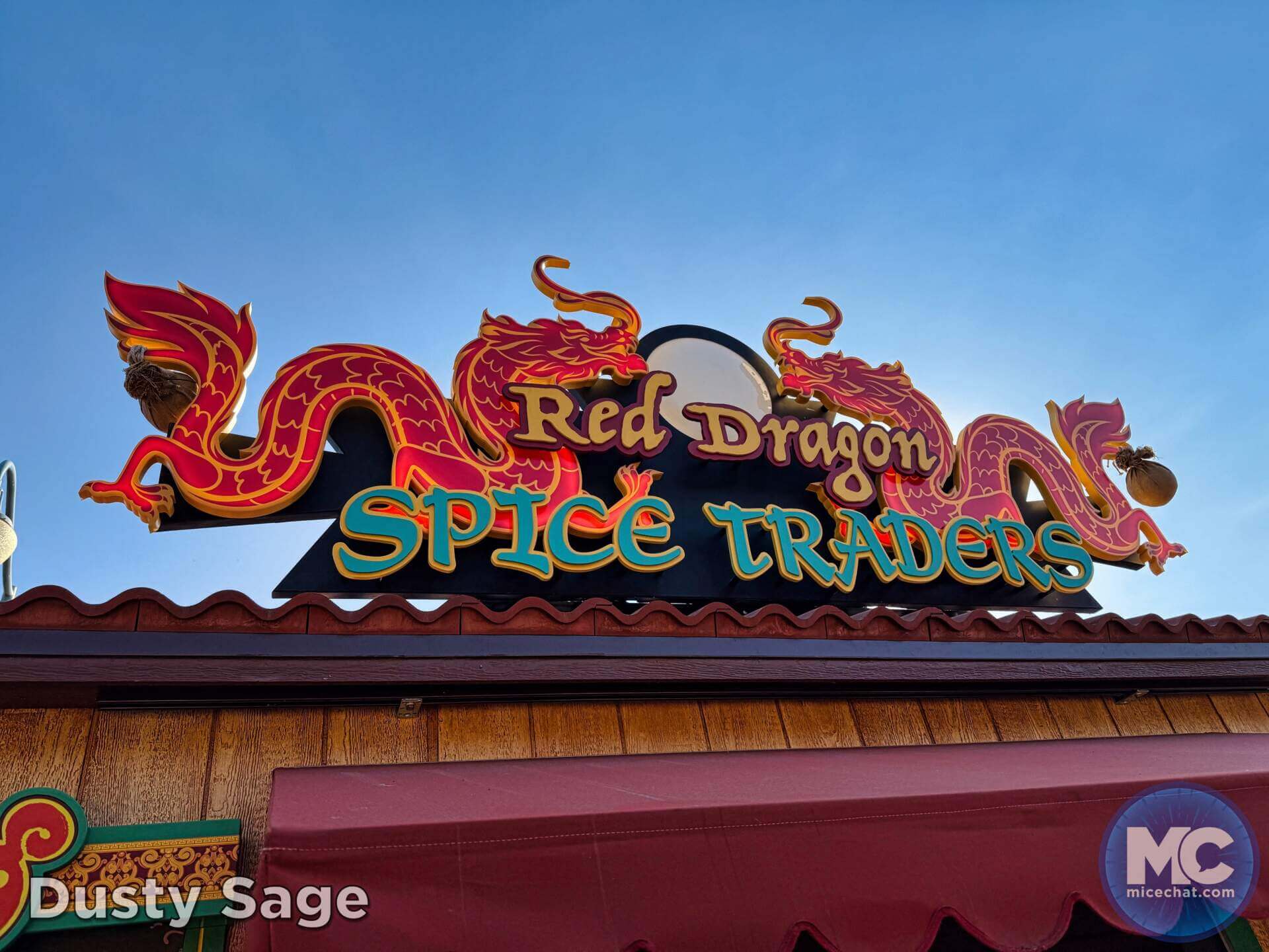 , DISNEYLAND UPDATE: Heartbreak, Hope & A New Chapter