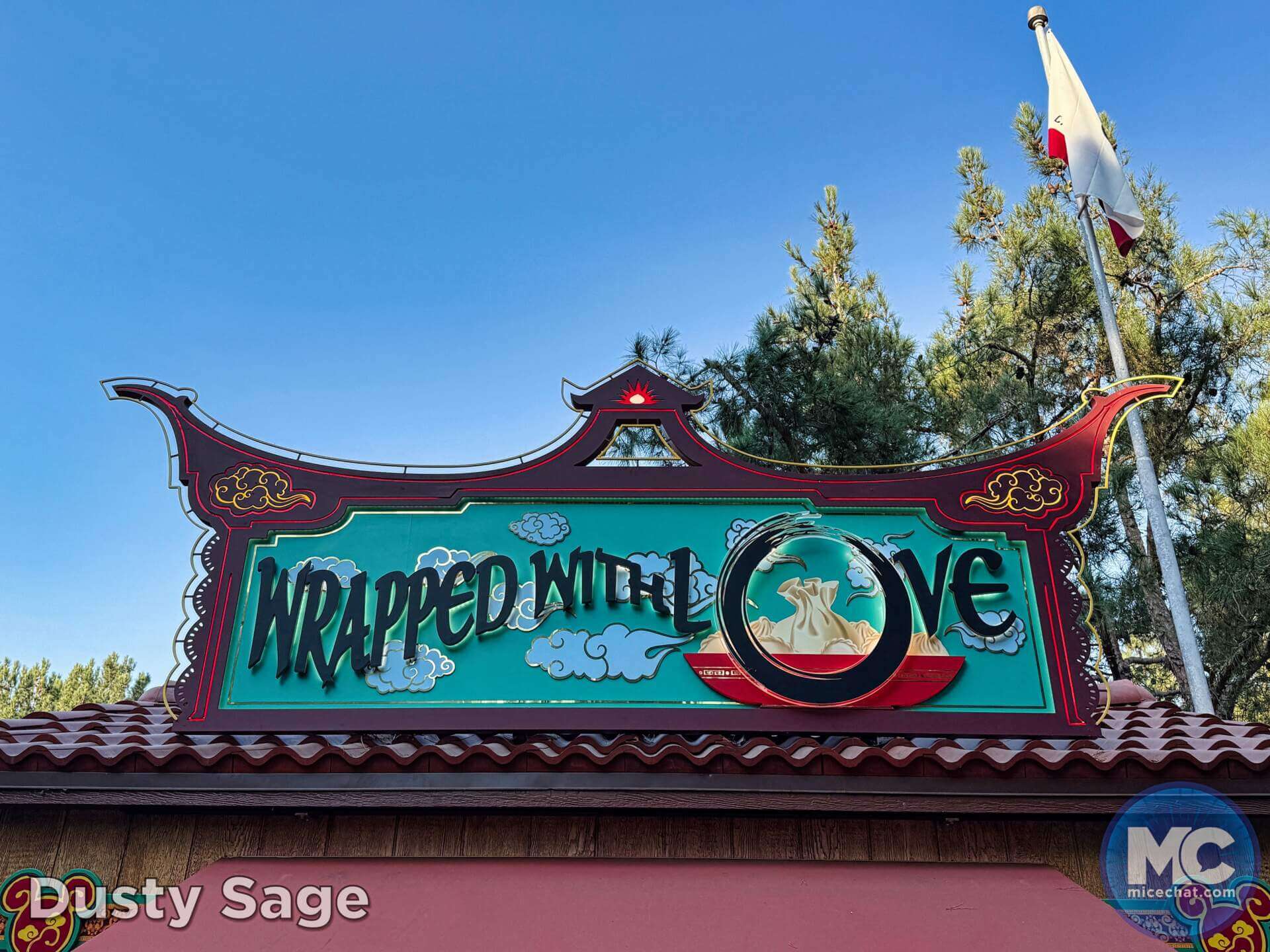 , DISNEYLAND UPDATE: Heartbreak, Hope & A New Chapter