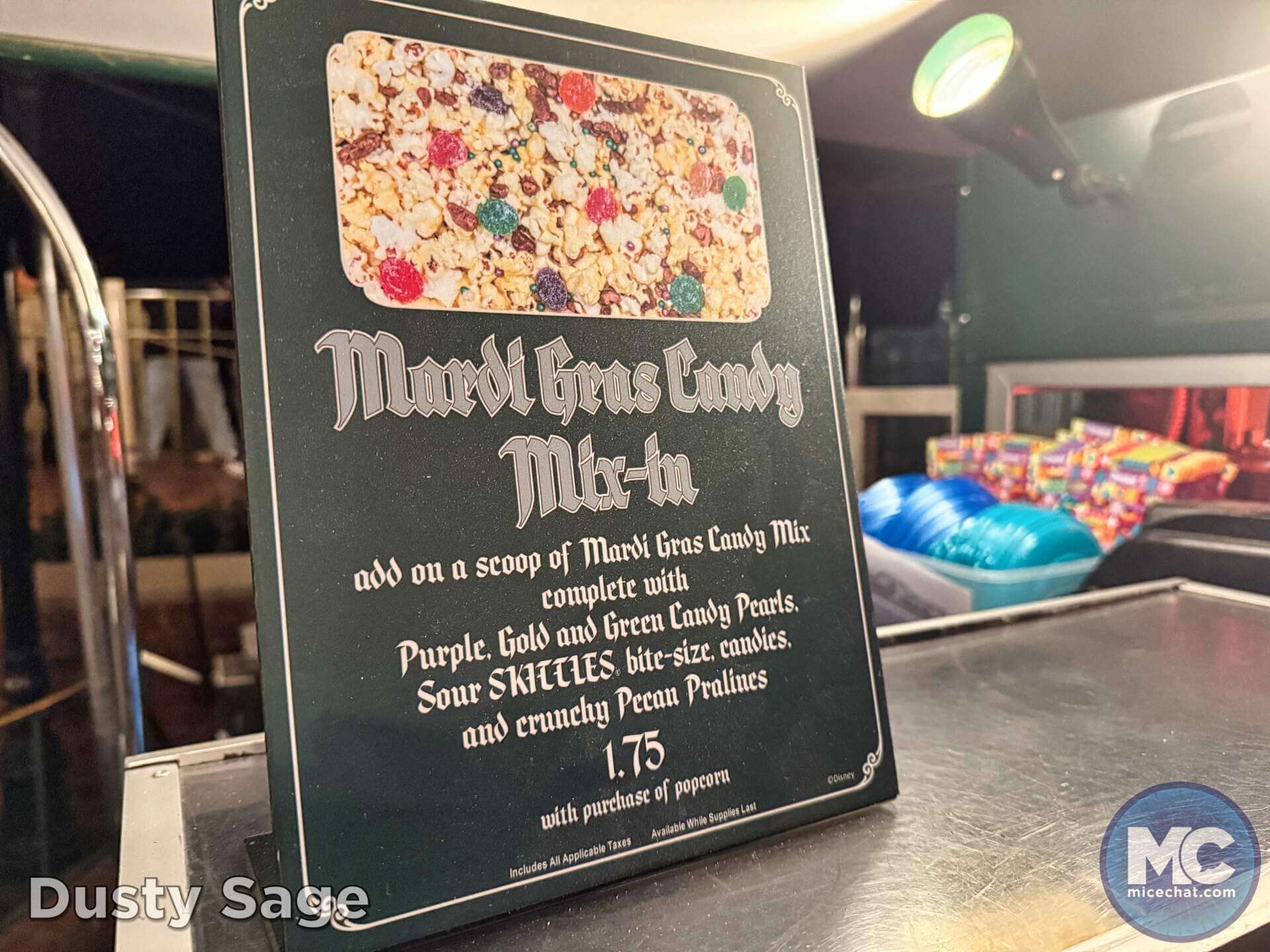 , DISNEYLAND UPDATE: Heartbreak, Hope & A New Chapter