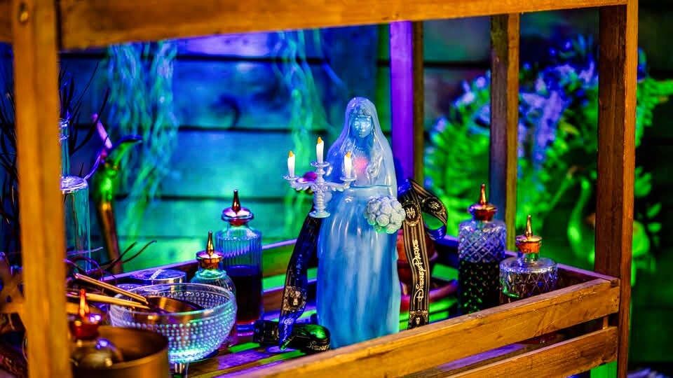, DISNEYLAND UPDATE: Heartbreak, Hope & A New Chapter