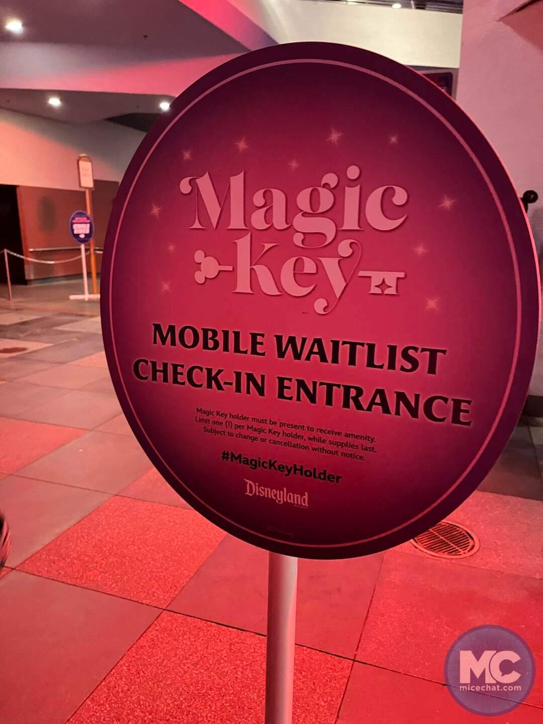 , DISNEYLAND UPDATE: Heartbreak, Hope & A New Chapter