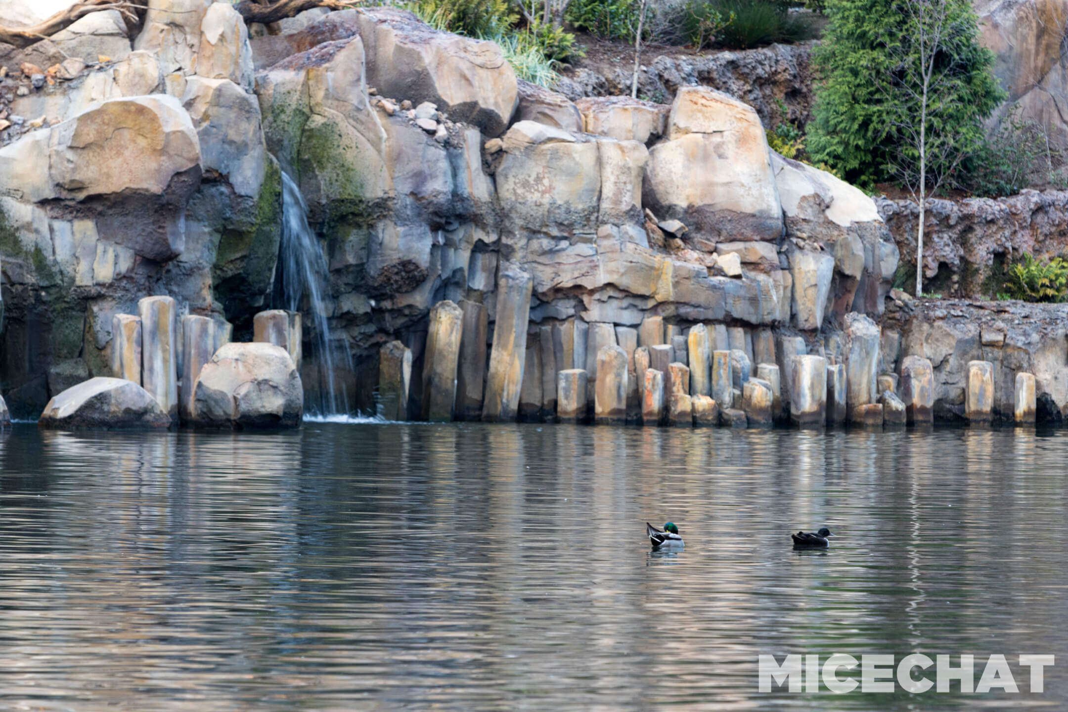 , DISNEYLAND UPDATE: Skywalker Steps In, Red Car Rolls Out & Mystery Solved!