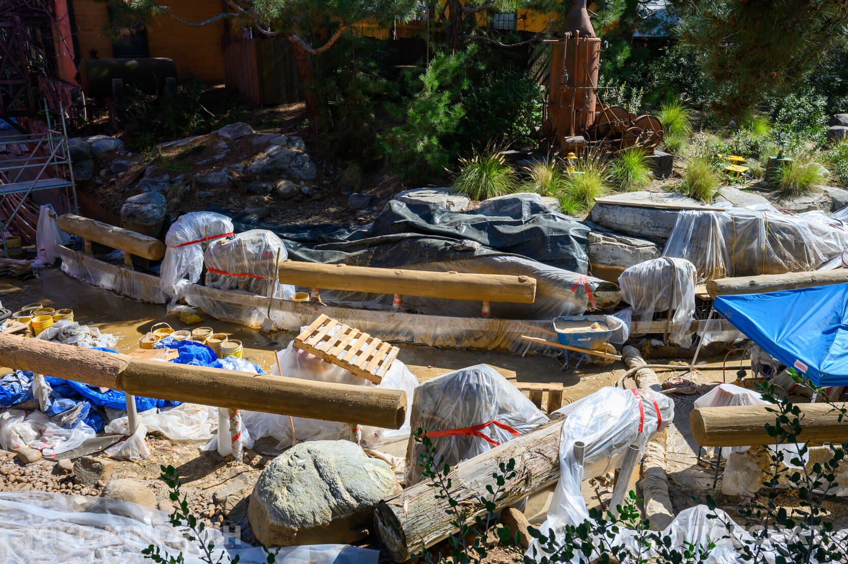 , DISNEYLAND UPDATE: Festival Bites, Soarin’ Flights & Crowds in Sight!