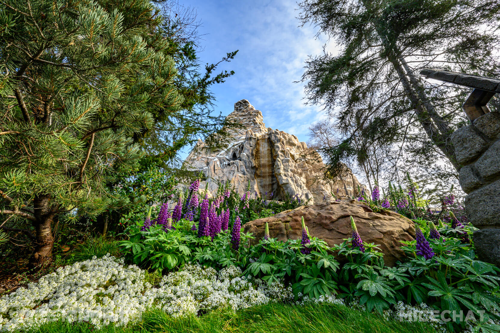 , DISNEYLAND UPDATE: Skywalker Steps In, Red Car Rolls Out & Mystery Solved!