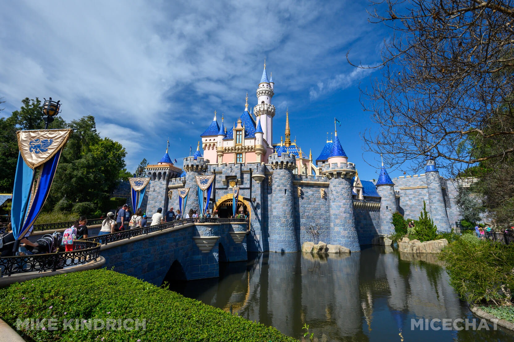 , DISNEYLAND UPDATE: Festival Bites, Soarin&rsquo; Flights & Crowds in Sight!
