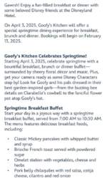 Goofy’s Kitchen Spring
