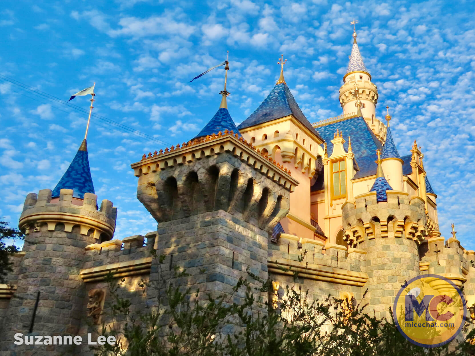 , DISNEYLAND UPDATE: Festival Bites, Soarin&rsquo; Flights & Crowds in Sight!