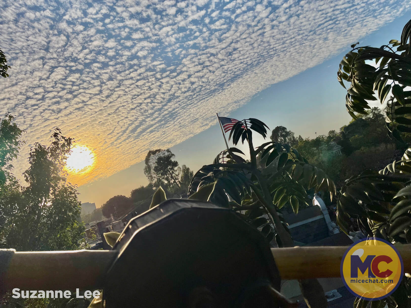 , DISNEYLAND UPDATE: Festival Bites, Soarin&rsquo; Flights & Crowds in Sight!