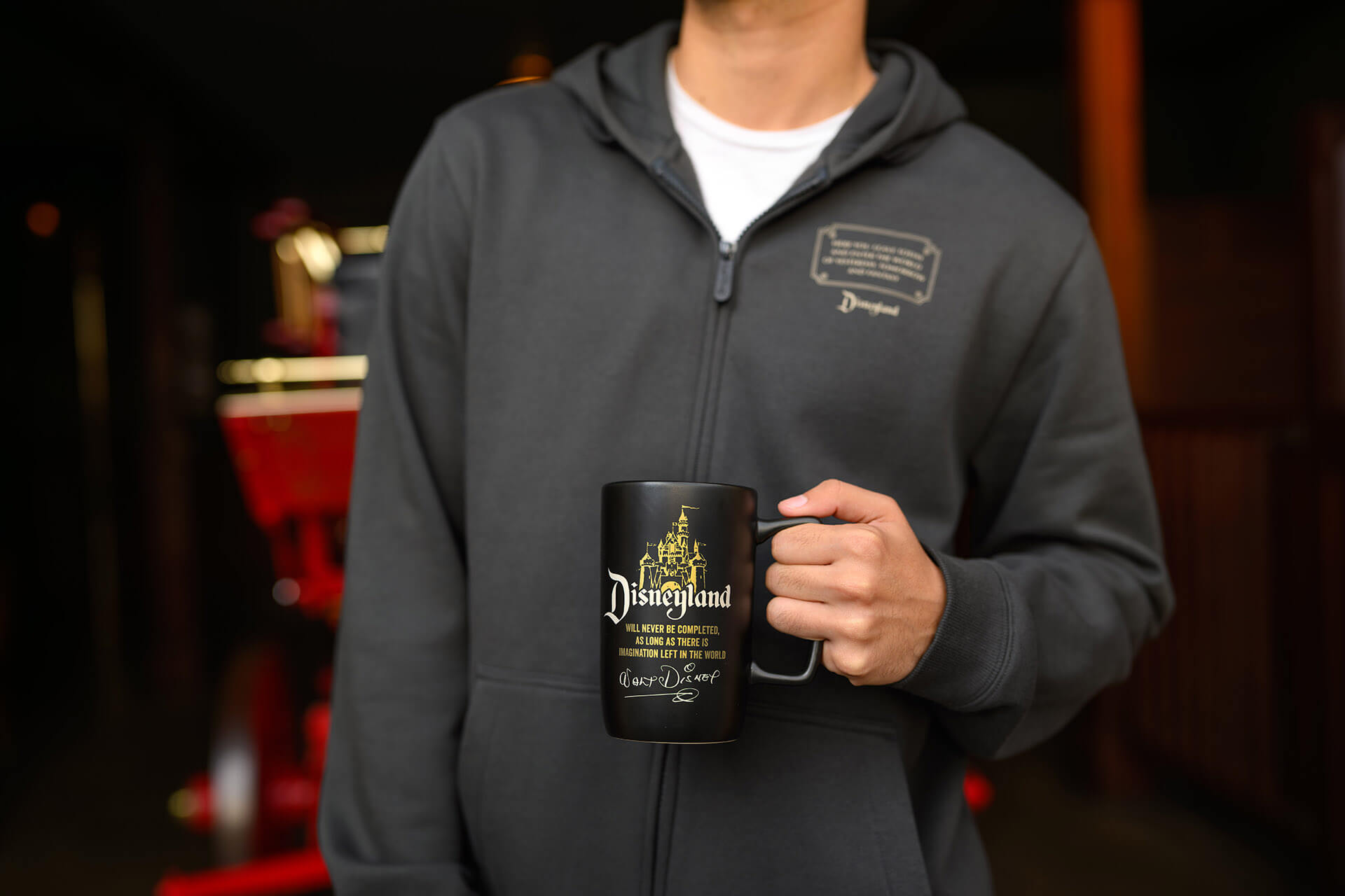 70th Anniversary Merchandise Collection, TAKE A LOOK: All Disneyland 70th Anniversary Merch Collections Now in Stores! 🎉