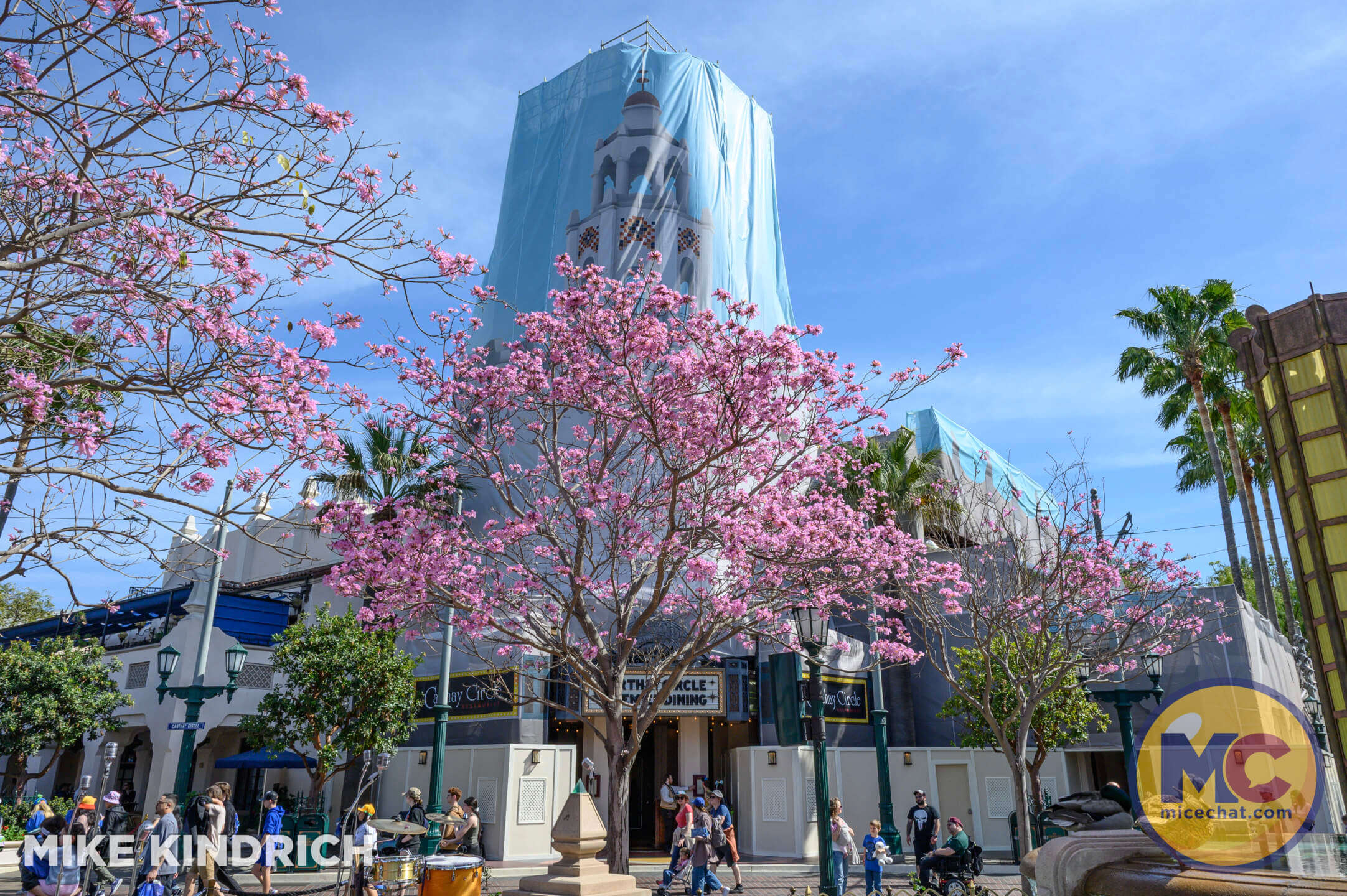, DISNEYLAND UPDATE: Packed Parks, Show Shuttered & A Galaxy Too Far