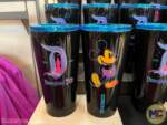 Disneyland 70th Anniversary Countdown Collection 11